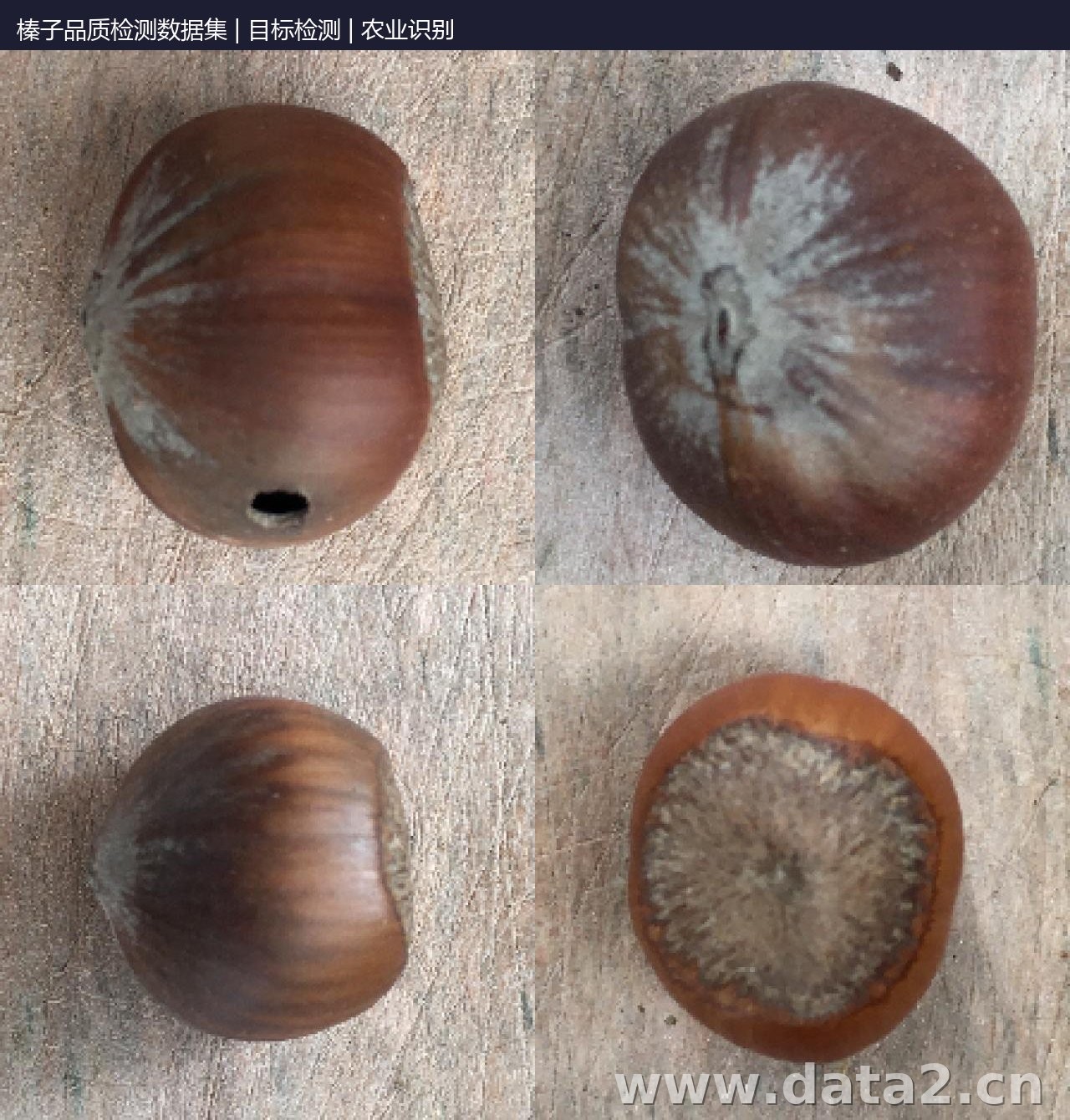 榛子品质检测数据集 预览图