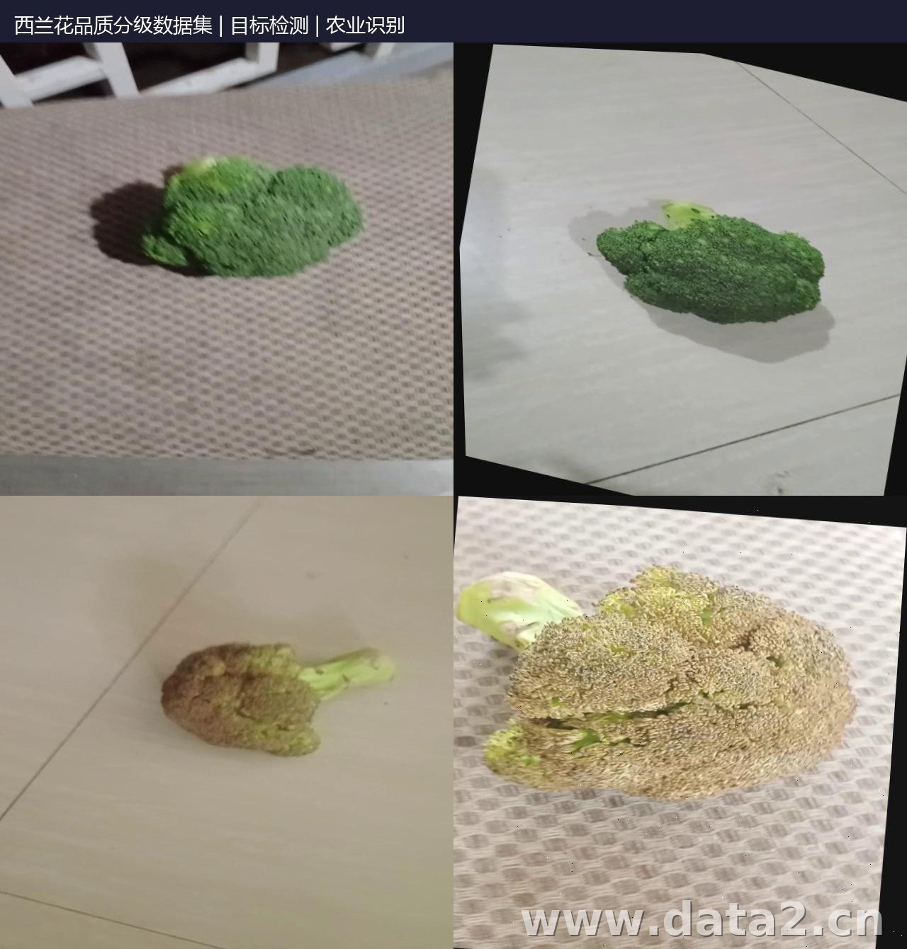西兰花品质分级数据集 预览图