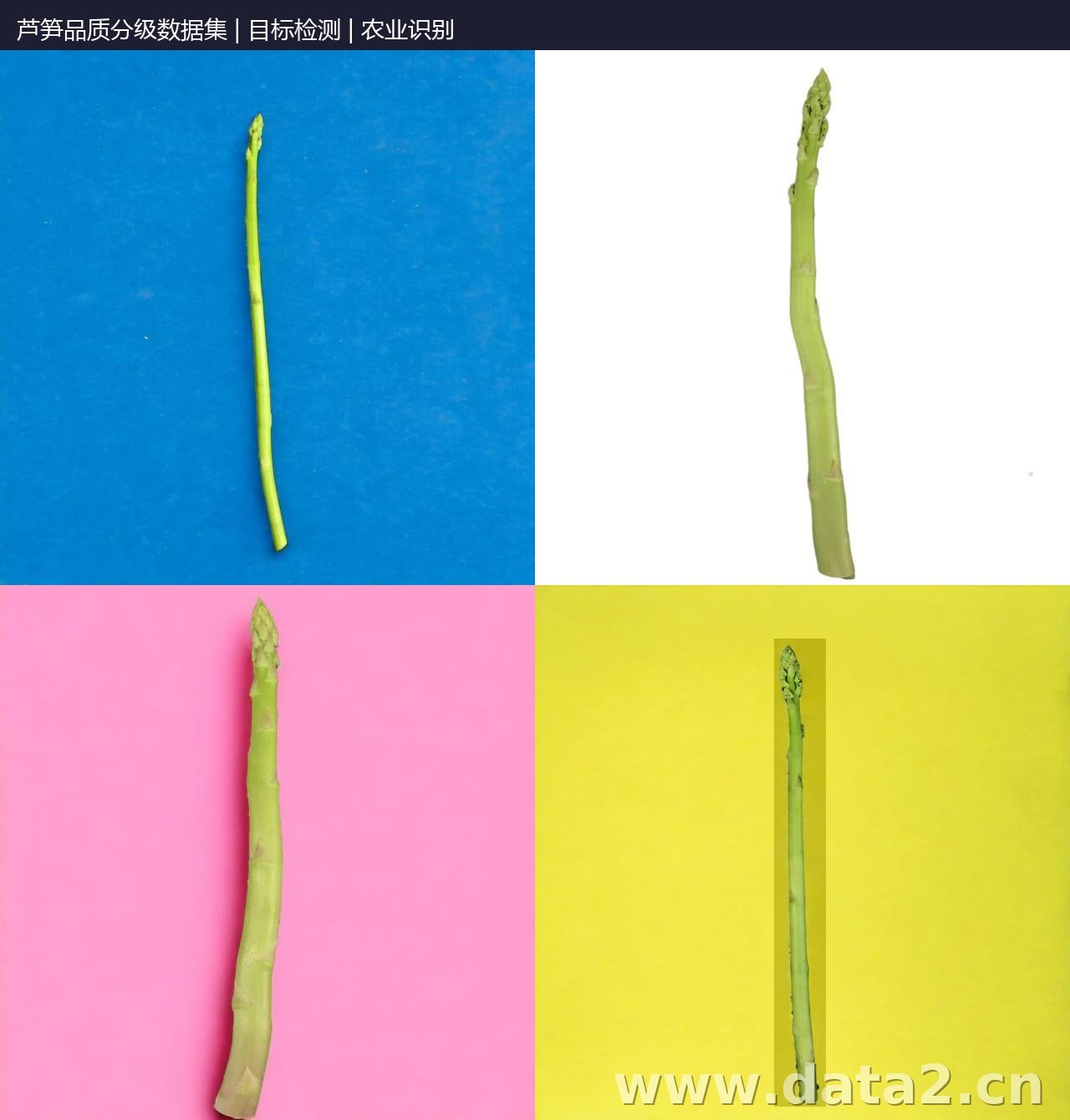芦笋品质分级数据集 预览图