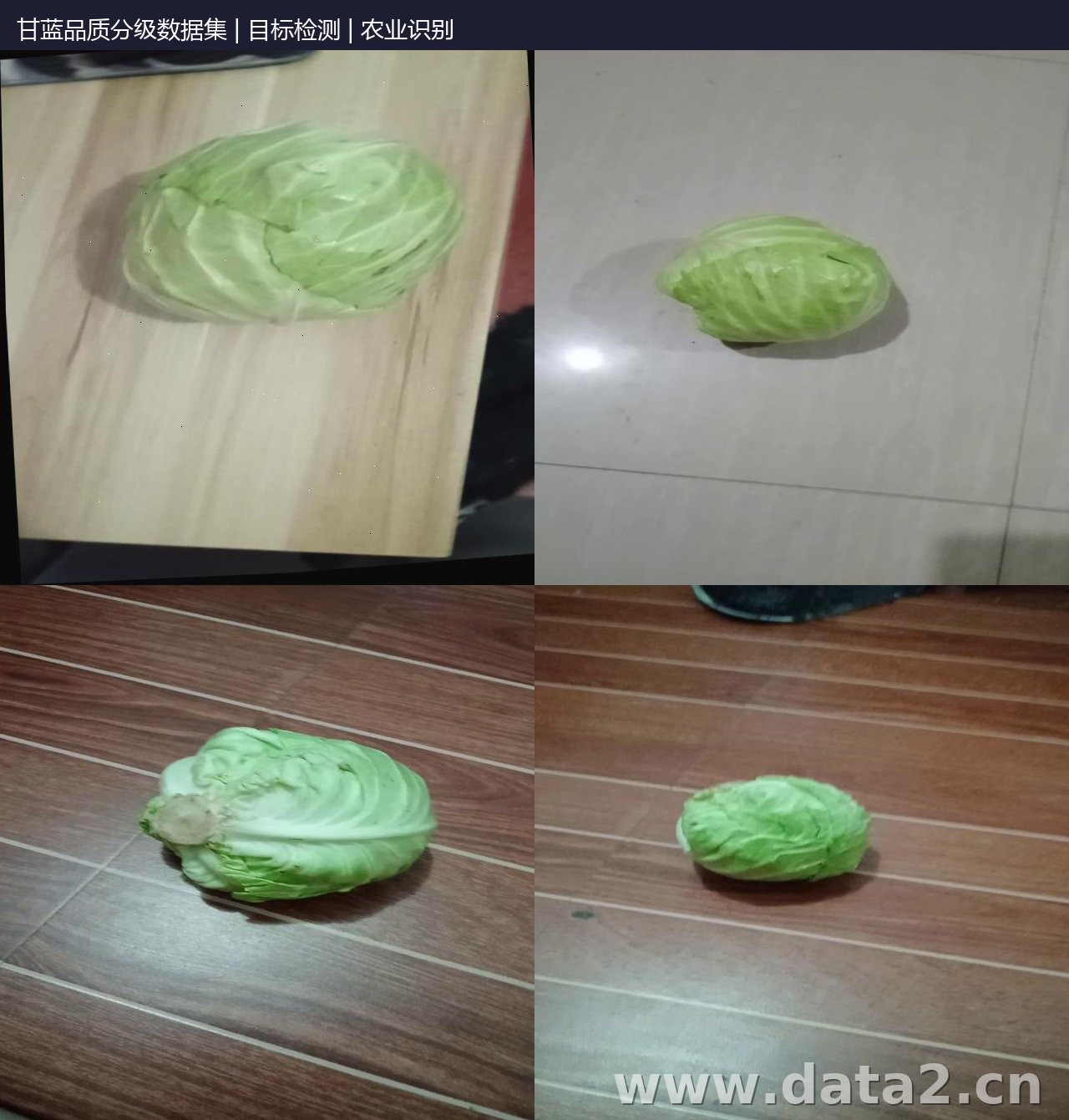 甘蓝品质分级数据集 预览图