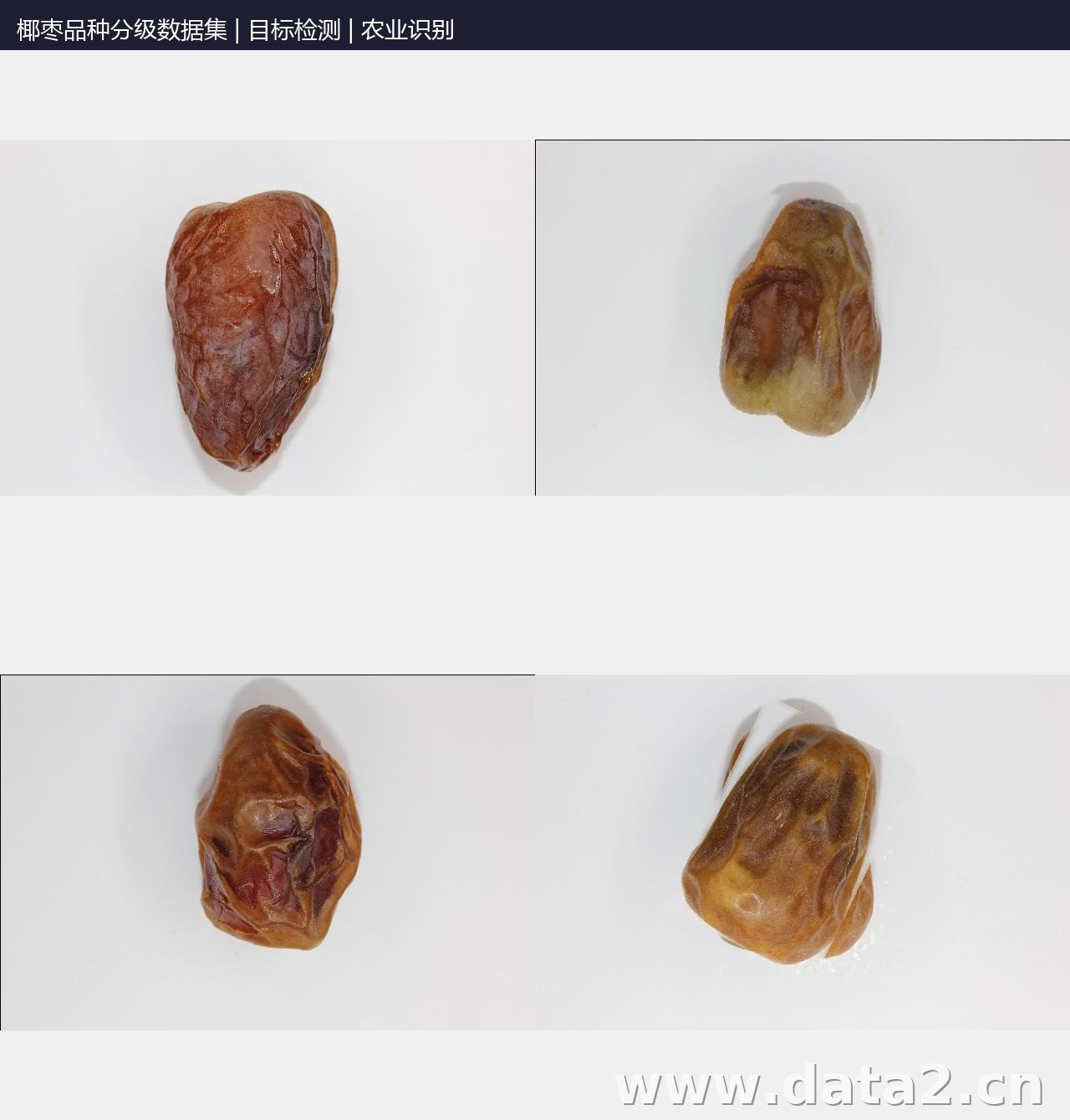 椰枣品种分级数据集 预览图