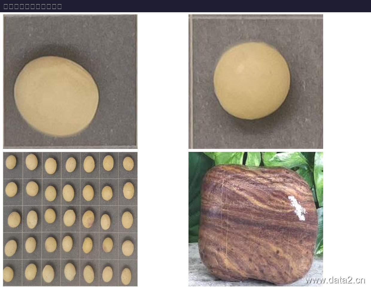 大豆种子质量检测数据集 预览图