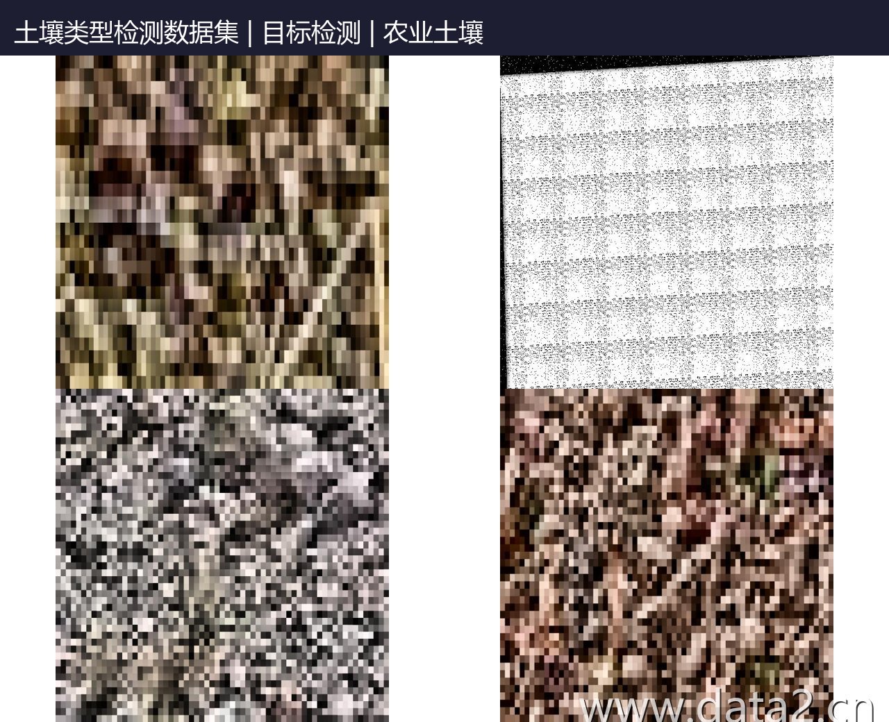 土壤类型检测数据集 预览图