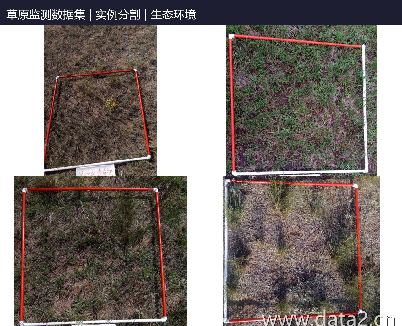 草原监测数据集 预览图