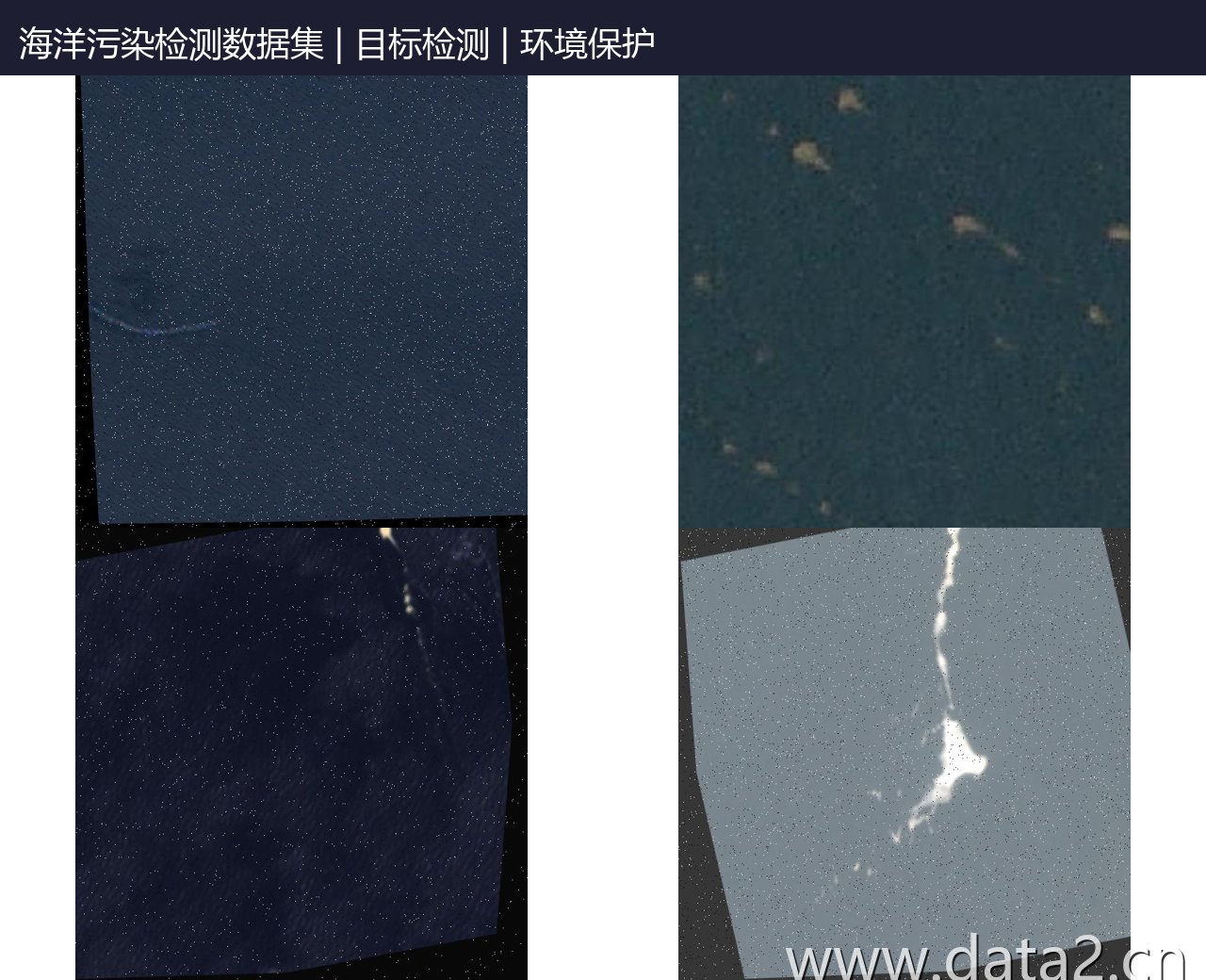 海洋污染检测数据集 预览图