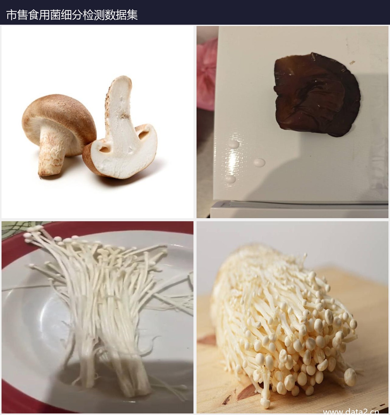 市售食用菌细分检测数据集 预览图